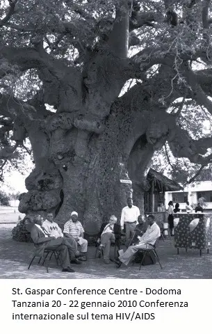 Conferenzatanzania2010