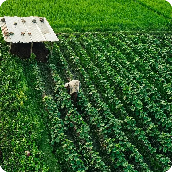 esterno-struttura-legami-sociali-1